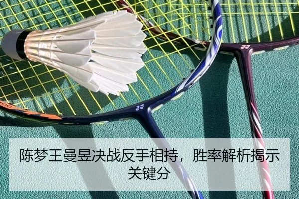 chen-meng-wang-man-yu-jue-zhan-fan-shou-xiang-chi-sheng-lv-jie-xi-jie-shi-guan-jian-fen-3-563.jpg