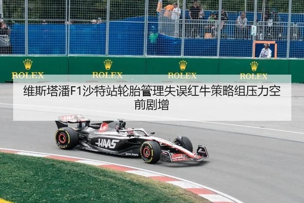 wei-si-ta-pan-sha-te-zhan-lun-tai-guan-li-shi-wu-hong-niu-ce-lve-zu-ya-li-kong-qian-ju-zeng-3-894.jpg