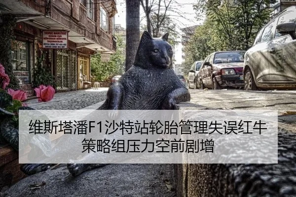 维斯塔潘F1沙特站轮胎管理失误红牛策略组压力空前剧增