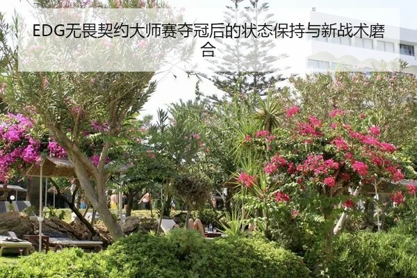EDG无畏契约大师赛夺冠后的状态保持与新战术磨合