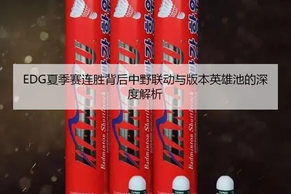 EDG夏季赛连胜背后中野联动与版本英雄池的深度解析